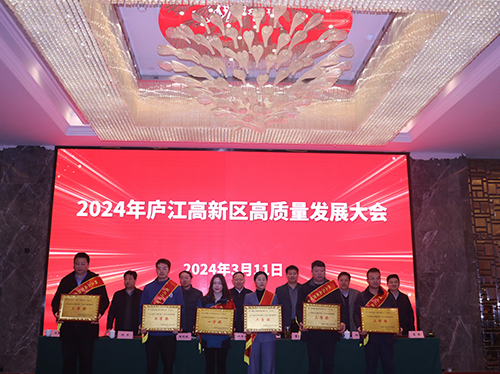 【喜報(bào)】德科電氣榮獲2023年廬江高新區(qū)企業(yè)高質(zhì)量發(fā)展一等獎(jiǎng)！